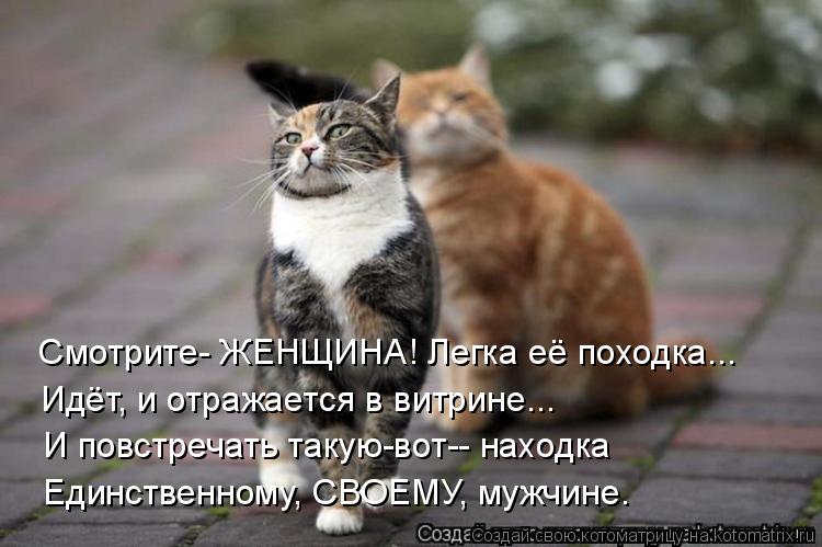 Смотрите- ЖЕНЩИНА! Легка её походка... Идёт, и отражается в витрине... И повстречать такую-вот-- нахо... Котоматрица: Смотрите- ЖЕНЩИНА! Легка её походка... Идёт, и отражается в витрине... И повстречать такую-вот-- находка Единственному, СВОЕМУ, мужчине.