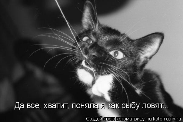 Да все, хватит, поняла я как рыбу ловят...... Котоматрица: Да все, хватит, поняла я как рыбу ловят...