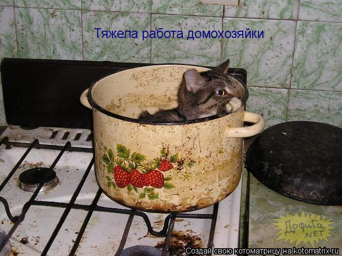 Тяжела работа домохозяйки... Котоматрица: Тяжела работа домохозяйки