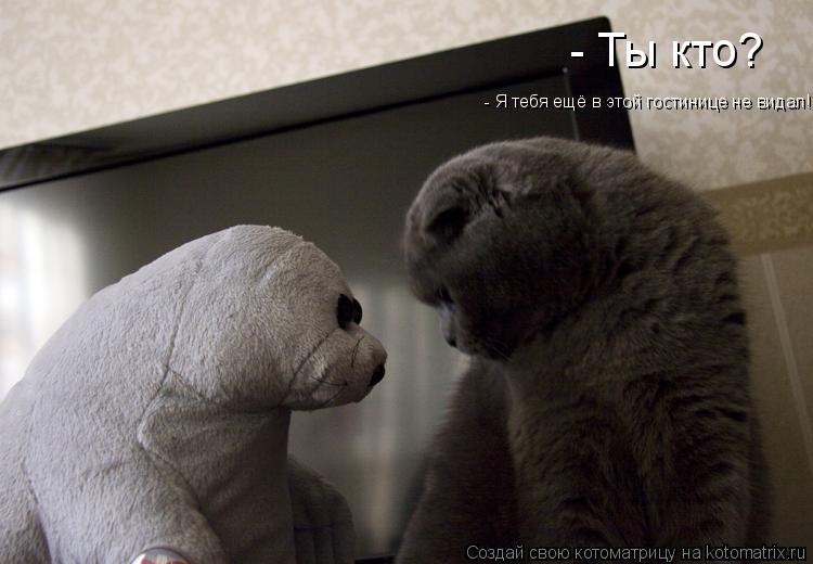 - Ты кто? - Я тебя ещё в этой гостинице не видал!... Котоматрица: - Ты кто? - Я тебя ещё в этой гостинице не видал!
