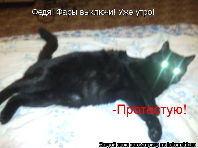 Федя! Фары выключи! Уже утро! -Протестую!... Котоматрица: Федя! Фары выключи! Уже утро! -Протестую!