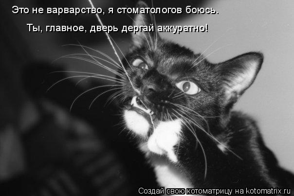 Это не варварство, я стоматологов боюсь. Ты, главное, дверь дергай аккуратно!... Котоматрица: Это не варварство, я стоматологов боюсь. Ты, главное, дверь дергай аккуратно!