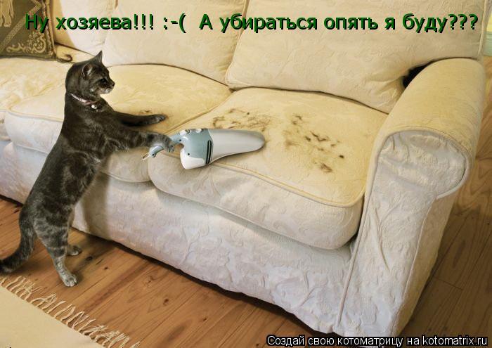 Ну хозяева!!! :-( А убираться опять я буду???... Котоматрица: Ну хозяева!!! :-( А убираться опять я буду???