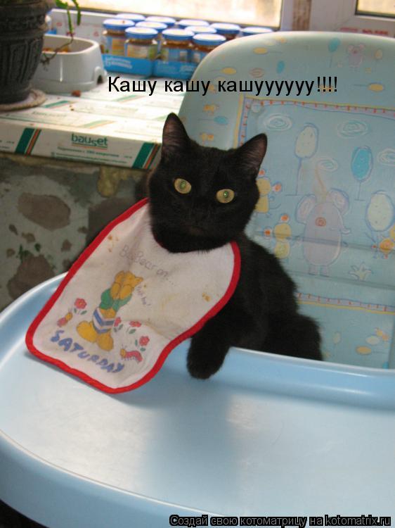 Кашу кашу кашуууууу!!!!... Котоматрица: Кашу кашу кашуууууу!!!!