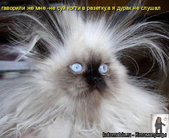 гаворили же мне -не суй когти в разетку,а я дурак не слушал... Котоматрица: гаворили же мне -не суй когти в разетку,а я дурак не слушал