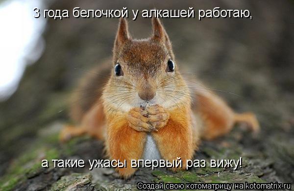 3 года белочкой у алкашей работаю, а такие ужасы впервый раз вижу!... Котоматрица: 3 года белочкой у алкашей работаю, а такие ужасы впервый раз вижу!