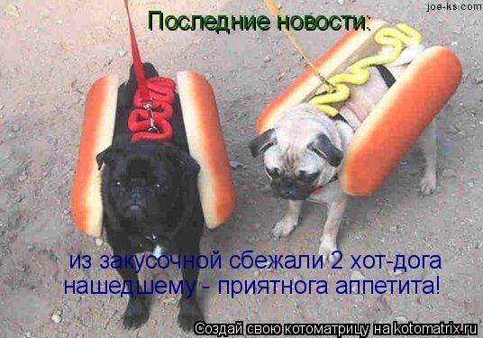 Последние новости: из закусочной сбежали 2 хот-дога нашедшему - приятнога аппетита!... Котоматрица: Последние новости: из закусочной сбежали 2 хот-дога нашедшему - приятнога аппетита!