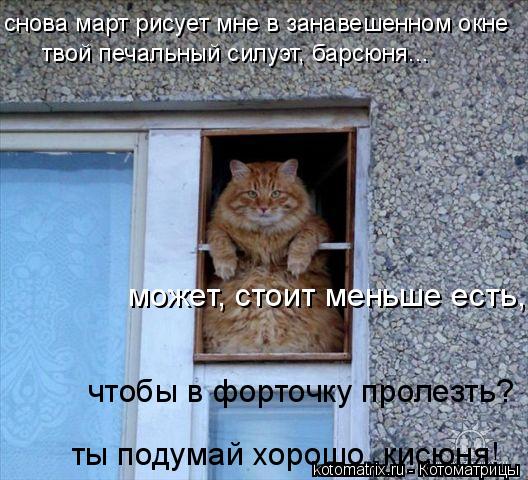 снова март рисует мне в занавешенном окне твой печальный силуэт, барсюня... может, стоит меньше есть... Котоматрица: снова март рисует мне в занавешенном окне твой печальный силуэт, барсюня... может, стоит меньше есть, чтобы в форточку пролезть? ты подумай