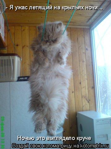 - Я ужас летящий на крыльях ночи... Ночью это выглядело круче... Котоматрица: - Я ужас летящий на крыльях ночи... Ночью это выглядело круче