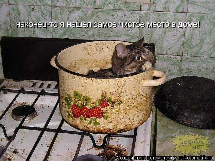 наконец-то я нашел самое чистое место в доме!... Котоматрица: наконец-то я нашел самое чистое место в доме!