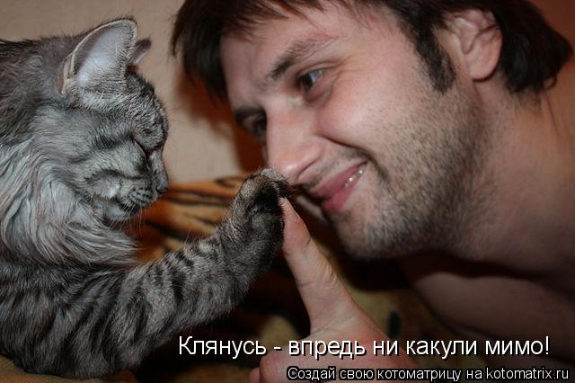 Клянусь - впредь ни какули мимо!... Котоматрица: Клянусь - впредь ни какули мимо!