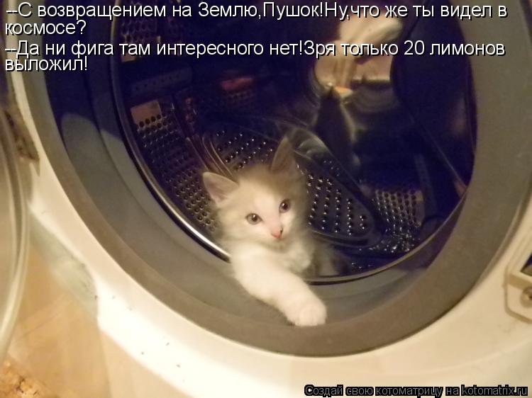 --С возвращением на Землю,Пушок!Ну,что же ты видел в космосе? --Да ни фига там интересного нет!Зря то... Котоматрица: --С возвращением на Землю,Пушок!Ну,что же ты видел в космосе? --Да ни фига там интересного нет!Зря только 20 лимонов выложил!