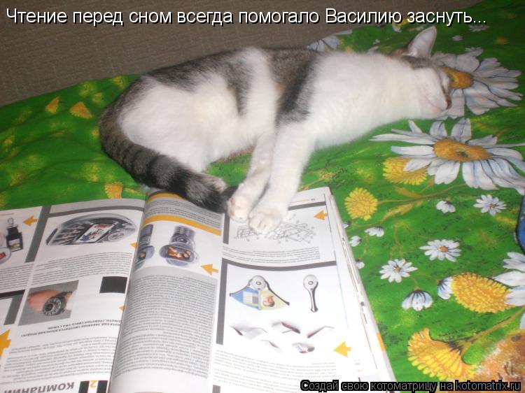 Чтение перед сном всегда помогало Василию заснуть...... Котоматрица: Чтение перед сном всегда помогало Василию заснуть...
