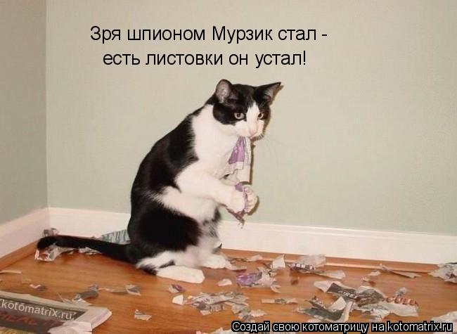 Зря шпионом Мурзик стал - есть листовки он устал!... Котоматрица: Зря шпионом Мурзик стал - есть листовки он устал!