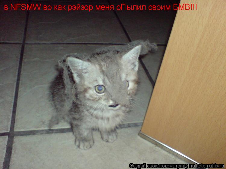 в NFSMW во как рэйзор меня оПылил своим БМВ!!!... Котоматрица: в NFSMW во как рэйзор меня оПылил своим БМВ!!!