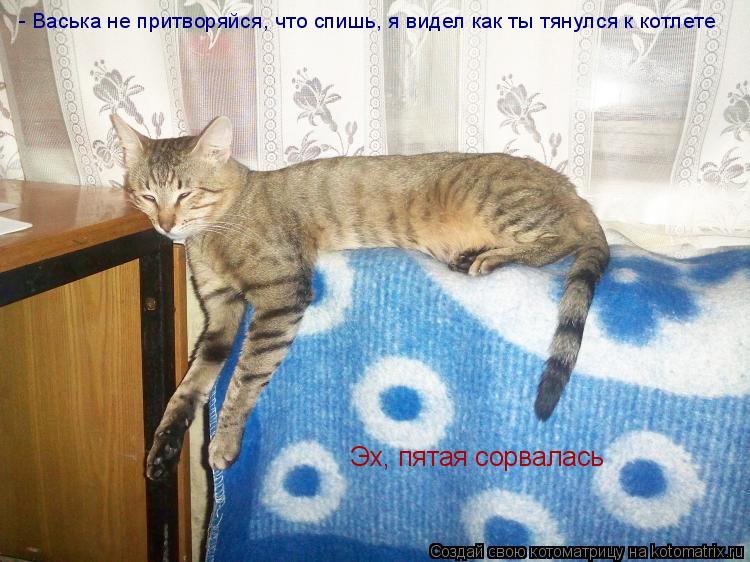 - Васька не притворяйся, что спишь, я видел как ты тянулся к котлете Эх, пятая сорвалась... Котоматрица: - Васька не притворяйся, что спишь, я видел как ты тянулся к котлете Эх, пятая сорвалась