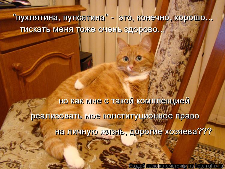 "пухлятина, пупсятина" - это, конечно, хорошо... тискать меня тоже очень здорово... но как мне с так... Котоматрица: "пухлятина, пупсятина" - это, конечно, хорошо... тискать меня тоже очень здорово... но как мне с такой комплекцией реализовать мое конституцио