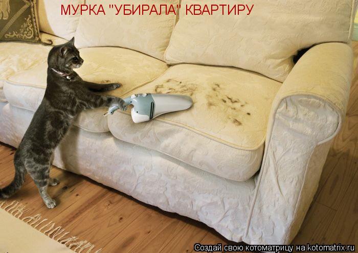 МУРКА "УБИРАЛА" КВАРТИРУ МУРКА "УБИРАЛА" КВАРТИРУ... Котоматрица: МУРКА "УБИРАЛА" КВАРТИРУ МУРКА "УБИРАЛА" КВАРТИРУ