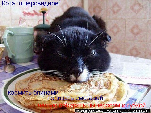 Котэ "ящеровидное" кормить блинами поливать сметаной чешую собирать пылесосом и губкой... Котоматрица: Котэ "ящеровидное" кормить блинами поливать сметаной чешую собирать пылесосом и губкой