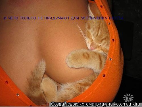 И ЧЕГО ТОЛЬКО НЕ ПРИДУМАЮТ ДЛЯ УВЕЛИЧЕНИЯ БЮСТА... Котоматрица: И ЧЕГО ТОЛЬКО НЕ ПРИДУМАЮТ ДЛЯ УВЕЛИЧЕНИЯ БЮСТА