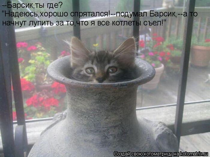 --Барсик,ты где? "Надеюсь,хорошо спрятался!--подумал Барсик,--а то начнут лупить за то,что я все котл... Котоматрица: --Барсик,ты где? "Надеюсь,хорошо спрятался!--подумал Барсик,--а то начнут лупить за то,что я все котлеты съел!"
