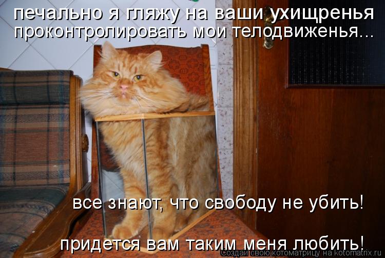 печально я гляжу на ваши ухищренья проконтролировать мои телодвиженья... все знают, что свободу не у... Котоматрица: печально я гляжу на ваши ухищренья проконтролировать мои телодвиженья... все знают, что свободу не убить! придется вам таким меня любить!