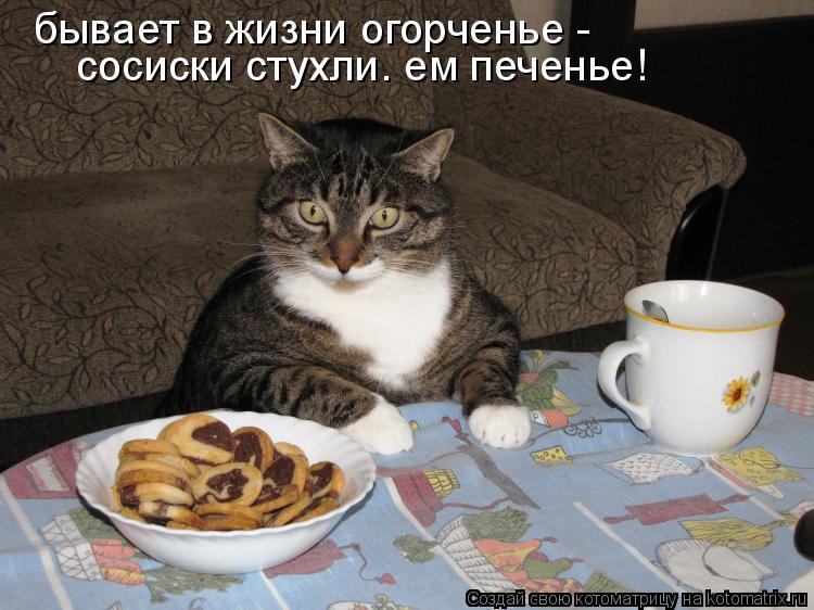 Котоматрица: бывает в жизни огорченье -  сосиски стухли. ем печенье!