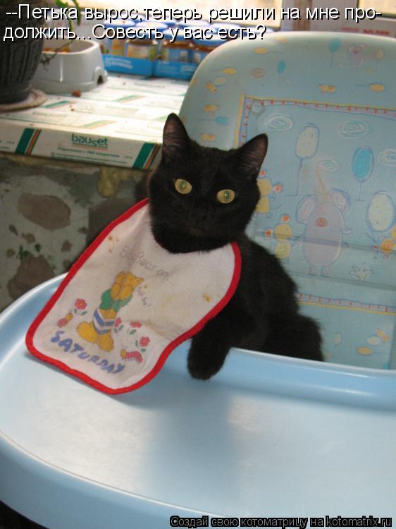 Котоматрица: --Петька вырос,теперь решили на мне про- должить...Совесть у вас есть?