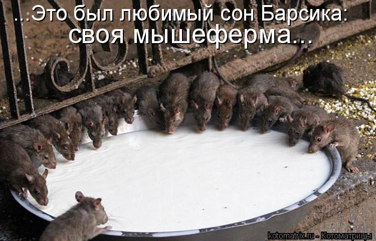 Котоматрица: ...Это был любимый сон Барсика: своя мышеферма...