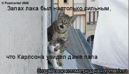 Котоматрица: Запах лака был настолько сильным, что Карлсона увидел даже папа
