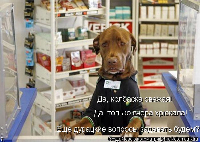 Котоматрица: Да, колбаска свежая! Да, только вчера хрюкала! Еще дурацкие вопросы задавать будем?
