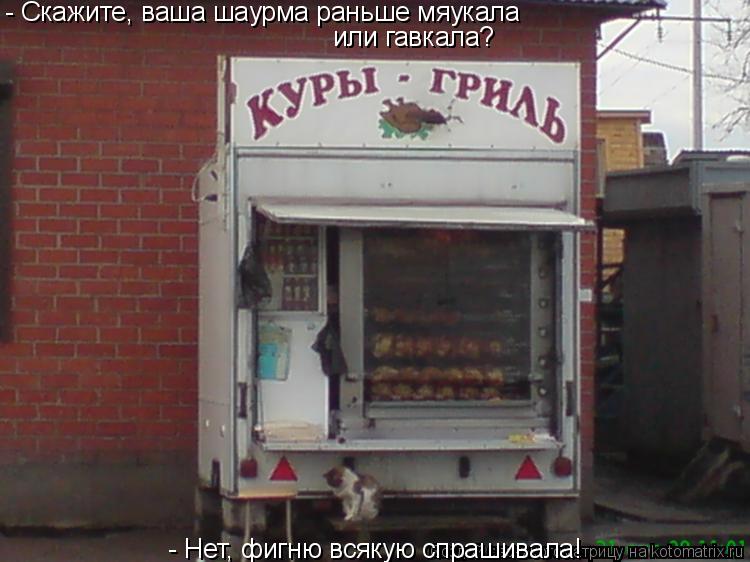 Котоматрица: - Скажите, ваша шаурма раньше мяукала  или гавкала?  - Нет, фигню всякую спрашивала!