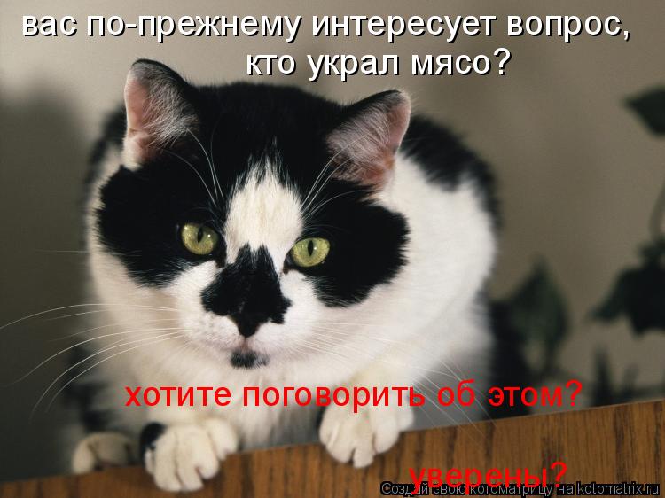 вас по-прежнему интересует вопрос, кто украл мясо? хотите поговорить об этом? уверены?... Котоматрица: вас по-прежнему интересует вопрос, кто украл мясо? хотите поговорить об этом? уверены?
