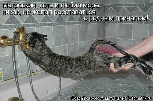Котоматрица: Матроскин, хоть и любил море,  никак, не желал расставаться  с родным причалом!
