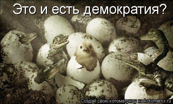 Это и есть демократия?... Котоматрица: Это и есть демократия?