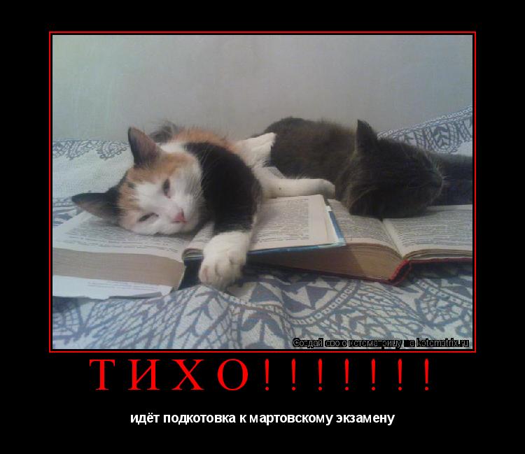 ТИХО!!!!!!! идёт подкотовка к мартовскому экзамену... Котоматрица: ТИХО!!!!!!! идёт подкотовка к мартовскому экзамену