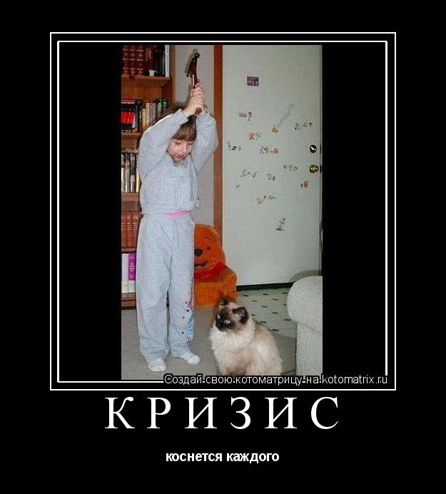 кризис коснется каждого... Котоматрица: кризис коснется каждого