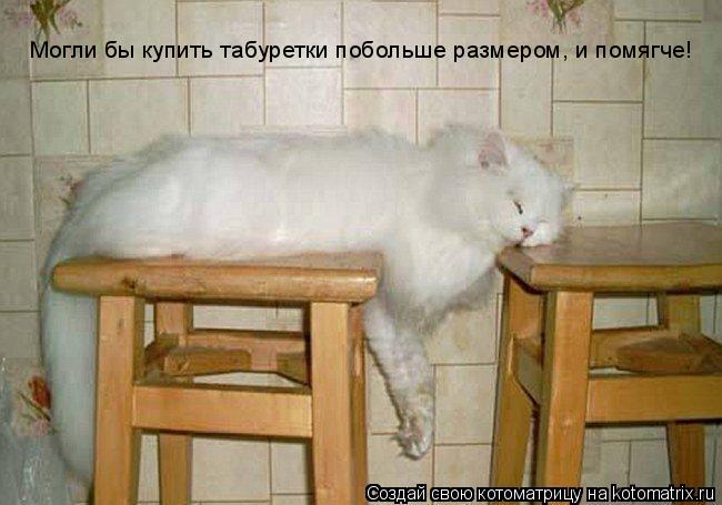Могли бы купить табуретки побольше размером, и помягче!... Котоматрица: Могли бы купить табуретки побольше размером, и помягче!