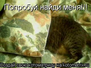 Попробуй найди меня!!!... Котоматрица: Попробуй найди меня!!!