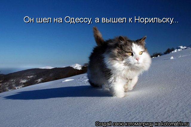 Он шел на Одессу, а вышел к Норильску...... Котоматрица: Он шел на Одессу, а вышел к Норильску...