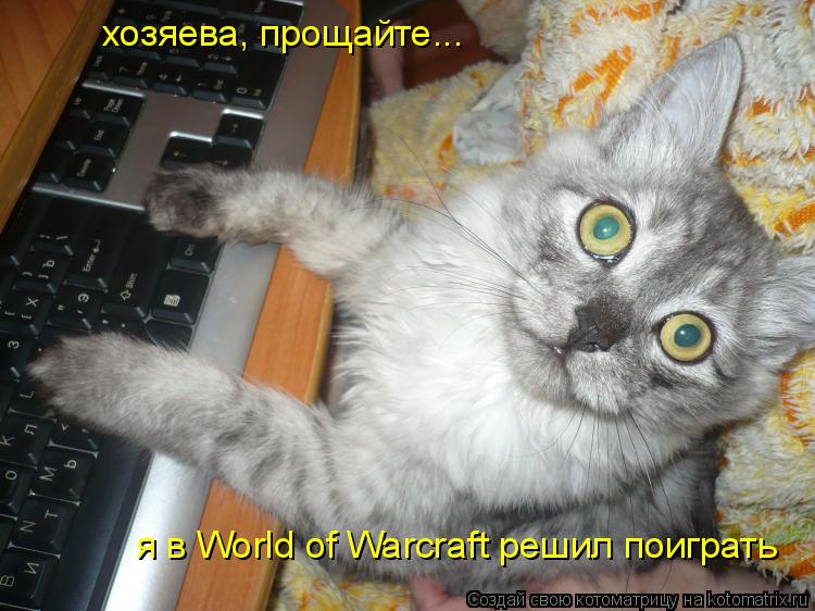 Котоматрица: хозяева, прощайте... я в World of Warcraft решил поиграть