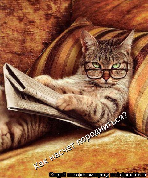Как насчет породниться?... Котоматрица: Как насчет породниться?