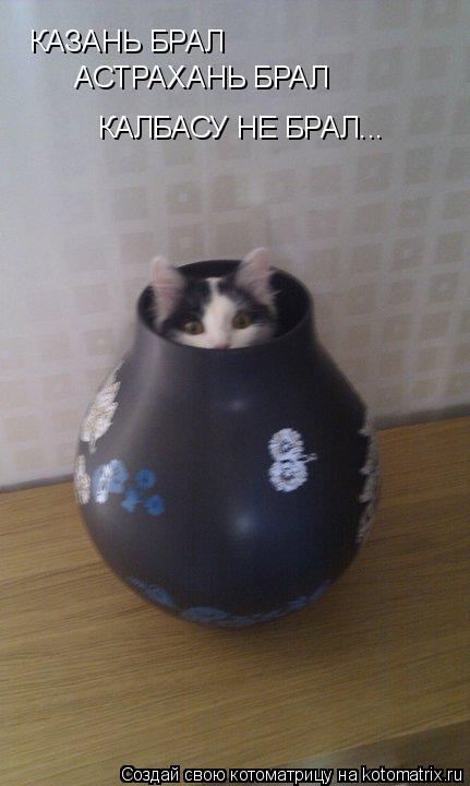 Котоматрица: КАЗАНЬ БРАЛ   АСТРАХАНЬ БРАЛ КАЛБАСУ НЕ БРАЛ...