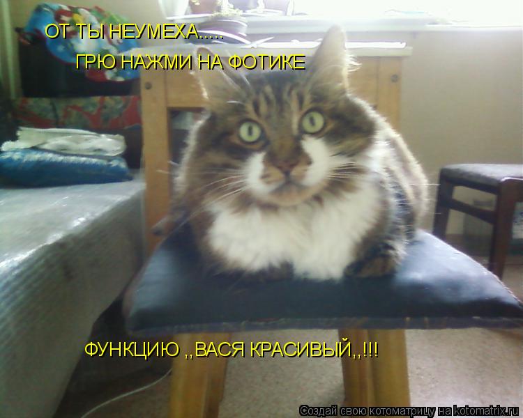 Котоматрица: ОТ ТЫ НЕУМЕХА..... ГРЮ НАЖМИ НА ФОТИКЕ ФУНКЦИЮ ,,ВАСЯ КРАСИВЫЙ,,!!!