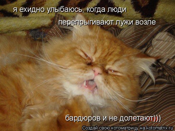 Котоматрица: я ехидно улыбаюсь, когда люди   перепрыгивают лужи возле бардюров и не долетают)))