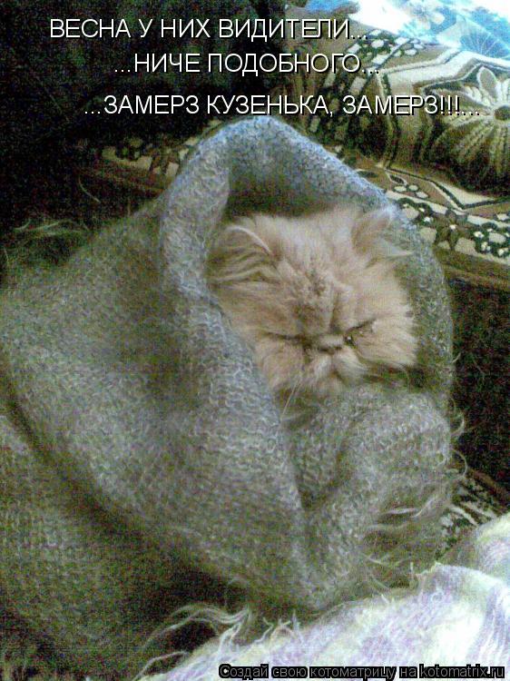 Котоматрица: ВЕСНА У НИХ ВИДИТЕЛИ... ...НИЧЕ ПОДОБНОГО... ...ЗАМЕРЗ КУЗЕНЬКА, ЗАМЕРЗ!!!...