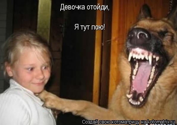 Котоматрица: Девочка отойди, Я тут пою!