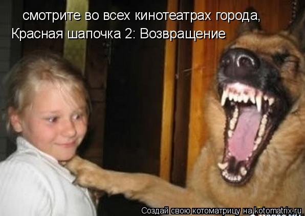 Котоматрица: смотрите во всех кинотеатрах города, Красная шапочка 2: Возвращение
