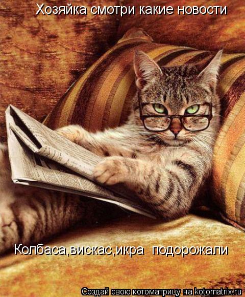 Котоматрица: Хозяйка смотри какие новости Колбаса,вискас,икра  подорожали