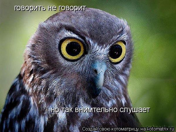 Котоматрица: говорить не говорит но так внимтельно слушает